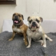 Xira und Fairley